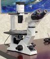 Olympus CKX41 Inverted Phase Binocular Microscope
