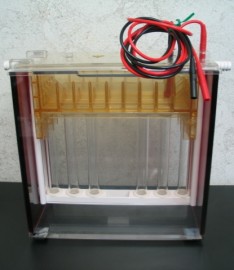 Hoefer Scientific SE600 Electrophoresis Unit with Caster