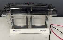 Life Technologies Electrophoresis (A25977) Mini Gel Tank