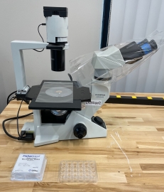 Olympus Inverted Phase Contrast Cell Culture Microscope CKX41