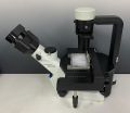 Olympus Inverted Phase Contrast Standard Set Microscope CKX53