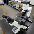 Olympus CKX31 Inverted Phase Binocular Microscope
